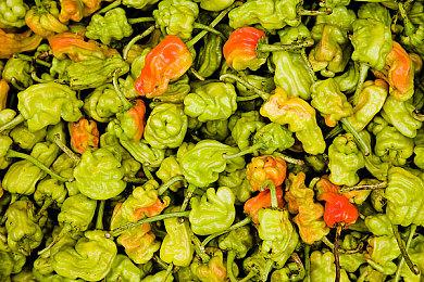 《死亡循环》媒体评价出炉 IGN、GameSpot双10分